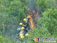 ����ɽ�ִ��