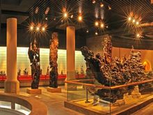    ��ľ�Ļ�����ľ����������