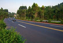 �ֶ�·���߷�ò