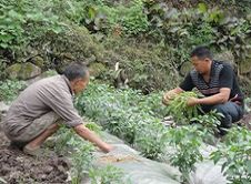 ����½�չ���������16�� ���޸�ͶƱ��ţ�102