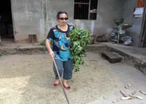 ��ƽ������־�����������ͥ��ϣ��ͶƱ��ţ�404