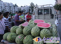 ��Υ��ռ����Ӫˮ������������