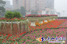 13�����ʻ�������ɽ�㳡