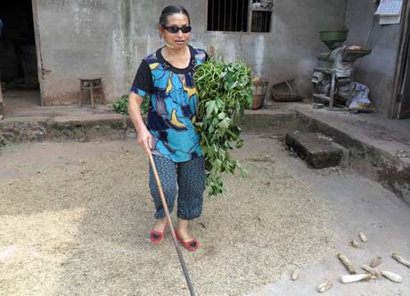 äŮ��ƽ�䣺��˫�ֳ���һƬ���