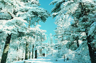 ��üɽ-��ƺ��ѩ