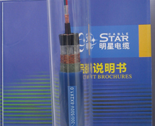 ���ǵ���