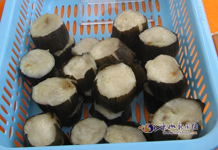 ��ü���Ͷ��Ρ�Ҷ����