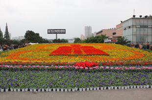 ������Ӱ��һ��