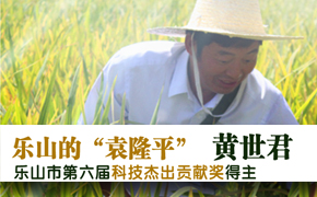 ������Ƽ��ܳ����׽�:������