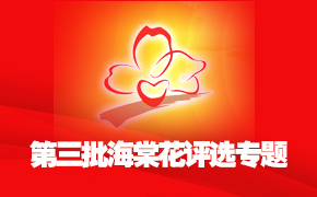 ���������Ļ���ѡר��