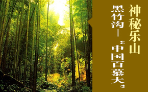 ���ع���ĺ��񹵡����й���Ľ��