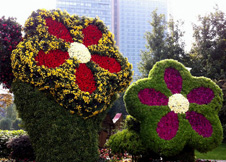 ϲӭ������ �ʻ����۰����س�