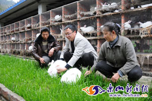 ��֧�������ӡ����������᰸�С�������