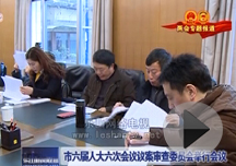 �������˴����λ����鰸���ίԱ����л���