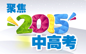 �۽�2015�и߿�