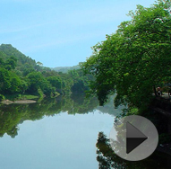 ʫ�黭�⡰С������