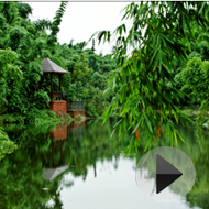 �������� ��̬�崨