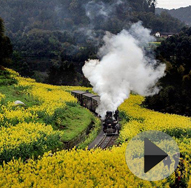 ����С�� ������顺�