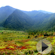 ������������̬ɽˮ����