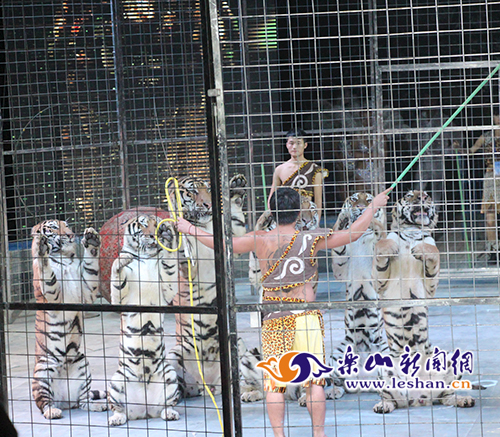 ���¶�ü?��Ϸ���껪