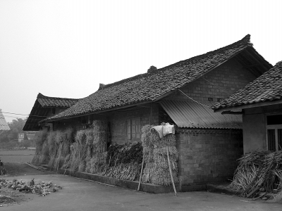 ������ַ