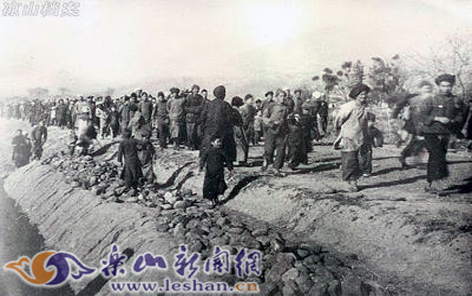 24�����ơ�Ѫ������������·