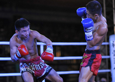 ����ȭ��������