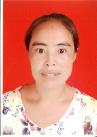 Т�ϰ���ģ ������