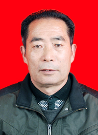 ��ʵ����ģ�� ����Ԫ