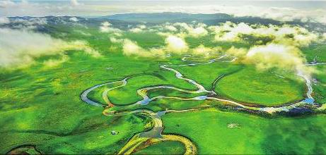 �����Ĵ� �����츮(��ͼ)