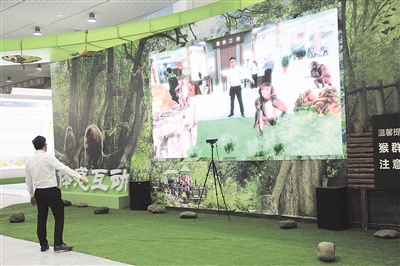 ��ɽչ����϶�üɽ���������л�����Ϸ