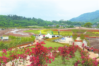 ����⻨���������֡�����֮���¡���������