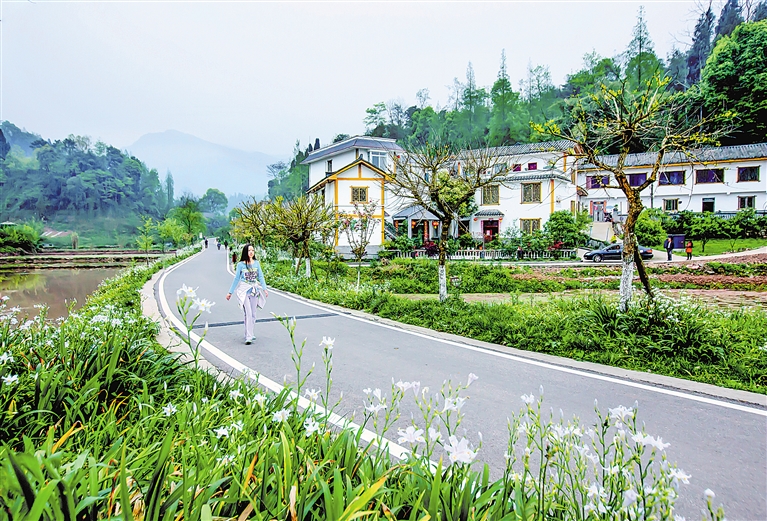 ����ɫ��չ���崨���������̬����