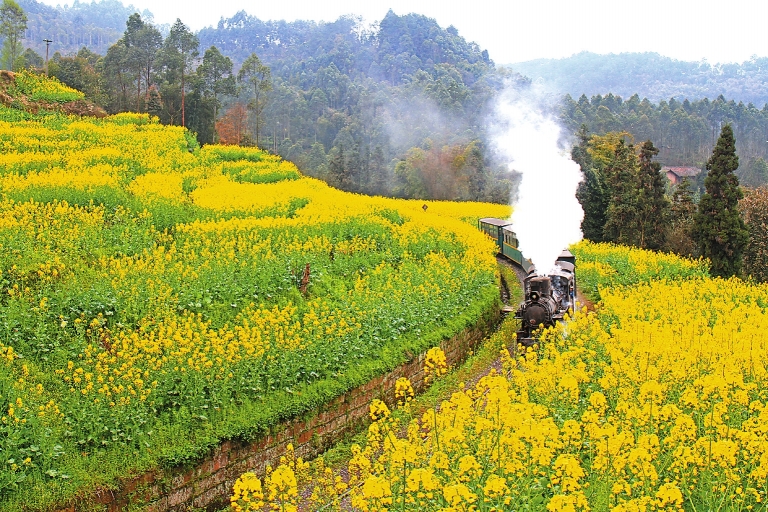 �úõ�Ӱ�ù��� ������ɽ����֪����